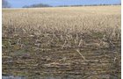 Property photo 68 - 98+/- Acres Offered in 6 Tracts or Combinations, Noble County, Indiana Farm